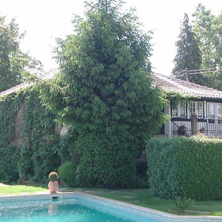 Casa Da Quinta De S. Martinho Hotel Vila Real Exterior foto